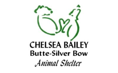 Butte Silver Bow Animal Shelter