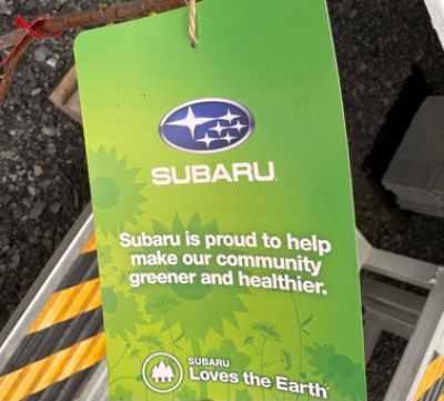 Helping Families Recover After Hurricane Helene