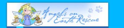 Angels on Earth Rescue