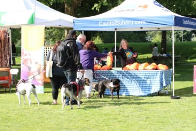 Our Tails are Wagging with Gratitude