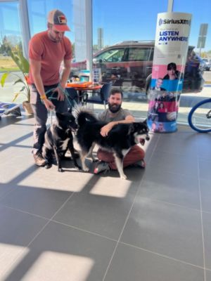 Subaru partnership helps with adoptions