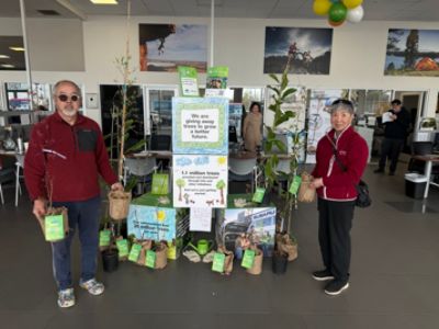 Planting trees locally and across the country