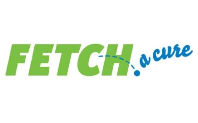 partnerCompanyName