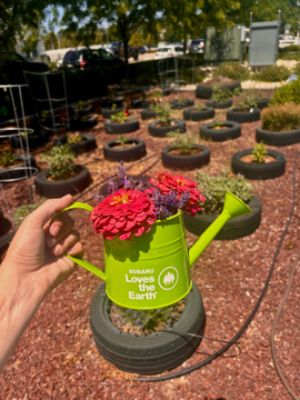 Boise Subaru Loves The Earth Through Their Community Garden