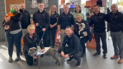 Subaru Helping Homeless Dogs