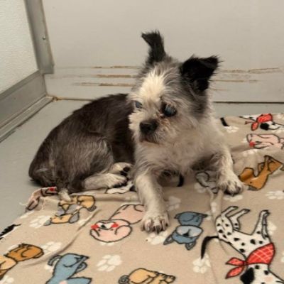 Anne's Second Chance at Forever 