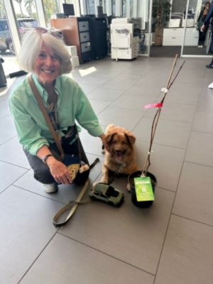 Schumacher Subaru of Delray Beach Sends 100 Free Trees Home with Customers