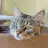 Schatzi-A Tale of Patience