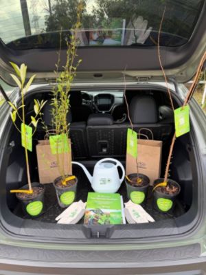 Superior Subaru of Houston Gives Away 100 Trees