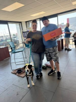 A great story of one of the dogs we adopted during October Subaru Loves Pets Event (Kona the Husky)