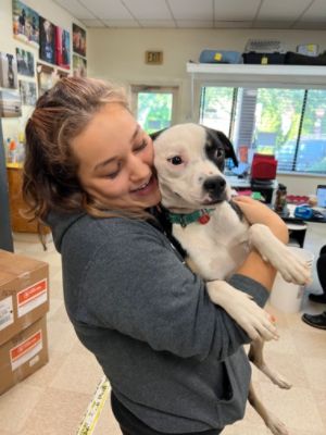 Royal Moore Loves Pets