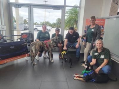 Subaru Always Loves Pets!