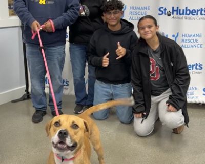 Paul Miller Subaru is truly committed to helping pets in need