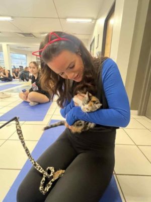 Matthews Subaru Hosts Kitten Yoga