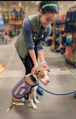 Heritage Subaru Catonsville Supports BARCS Animal Shelter