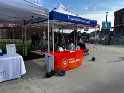 Home Runs and Happy Tails