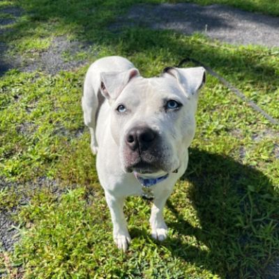 Riley's Happily Ever After