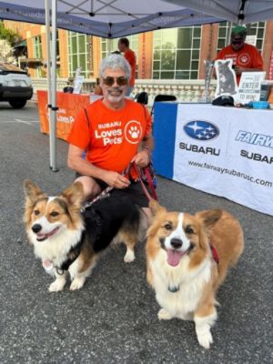 Mutt Strut Your Stuff