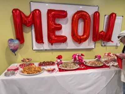 Inaugural Meow Mixer