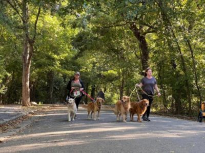 Giving Dogs a 2nd Chance