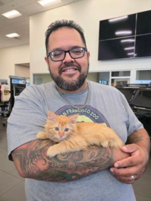 North Park Subaru & ADL's Cinco de Meow-o Adoption Event