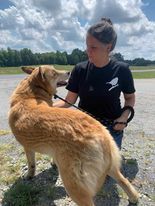 For The Love Of Animals