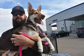 Dog Adoption