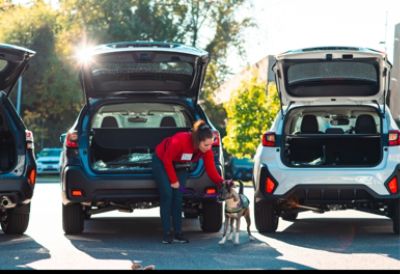 Fitzgerald Subaru of Gaithersburg Loves HRA Pets!