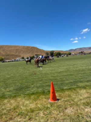 Polo for Pegasus sponsored by McCurley Subaru of Yakima