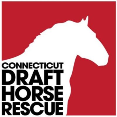 CT Draft Horse Rescue