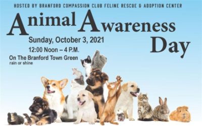 Branford's Animal Awareness Day