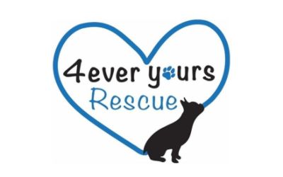 4ever Yours Rescue Inc