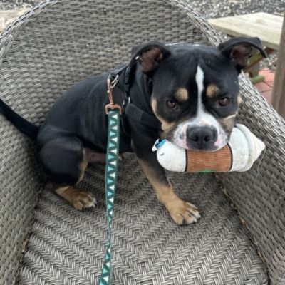 Waiting for the Right Match