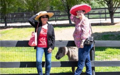 Giant Steps with Marin Subaru