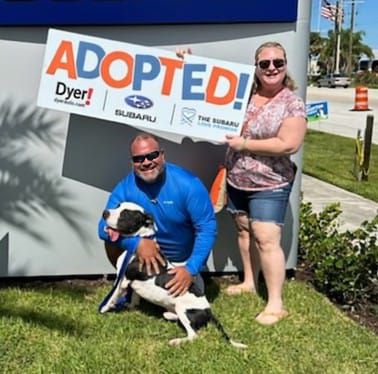 Scrappy Finds His Furever Home at DYER! Subaru Pet Adoption Event!