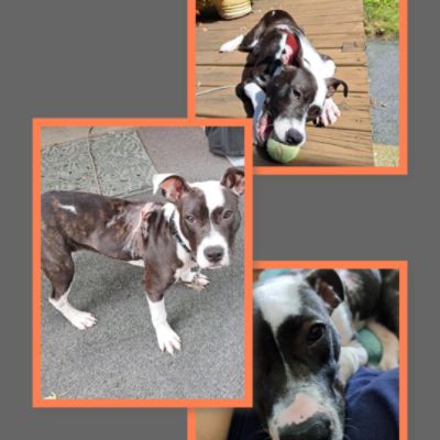 A Story of Resilience: Josie’s Journey to Recovery