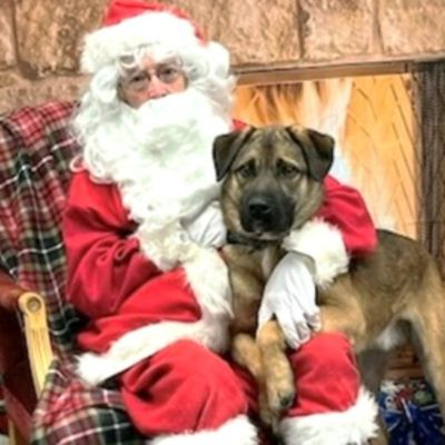 Teddy's Rescue and Subaru Love Their Pets