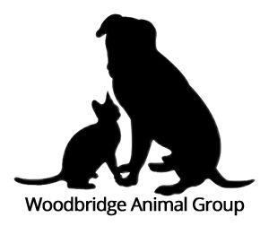 partnerCompanyName