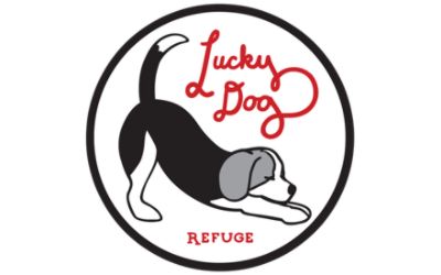 Lucky Dog Refuge