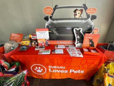 🐾 *Baby's Sweet New Beginning: Love After a Lifetime of Waiting* 💕