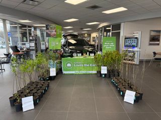 Growing a Greener Tomorrow with New Motors Subaru