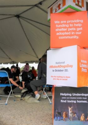 Suburban Subaru X Almost Home Pet Adoption Event at The Detroit Zoo!