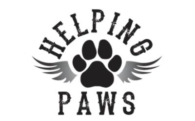 Helping PAWS