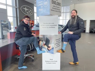 Subaru Loves to Help - Fox In Socks