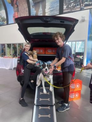 Stuff the Subaru with Donations and New Pet Parent kits