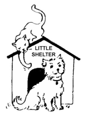 Little Shelter