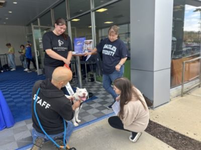 So Many Pets Adopted!