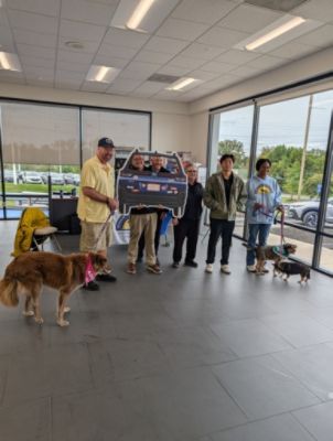 Love Promise: From Senior Dogs to the People who Love Them 