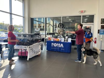Dulles Subaru adopt a pet event