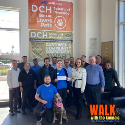 Sponsoring Walk with the Animals to Save More Lives